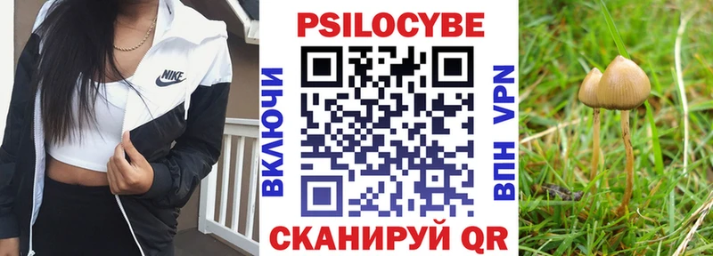 даркнет сайт  Курск  Галлюциногенные грибы мицелий 